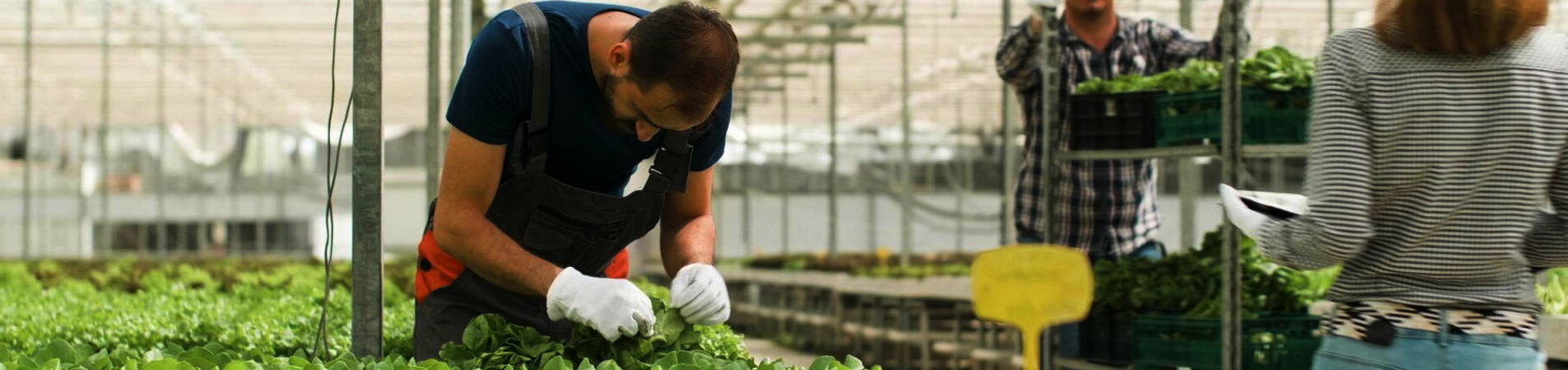 Agriculture