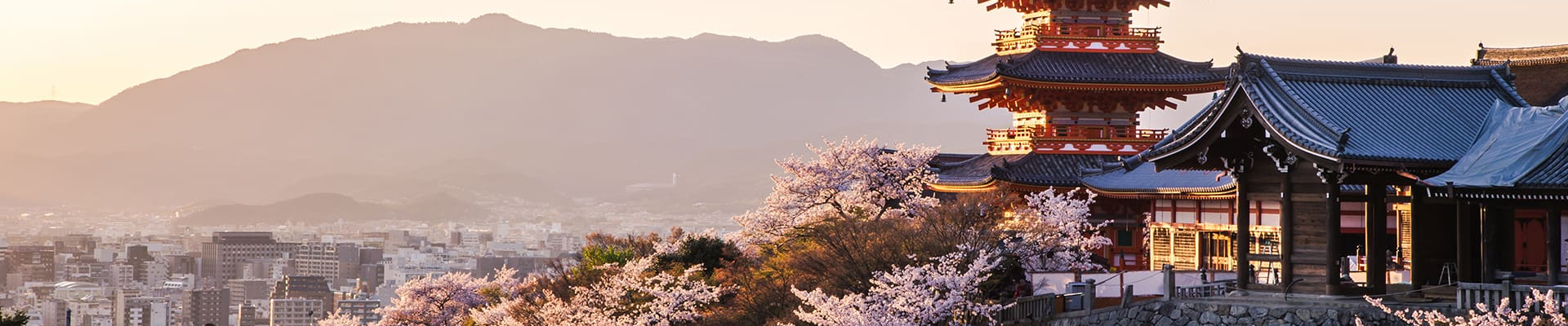Japanese Language